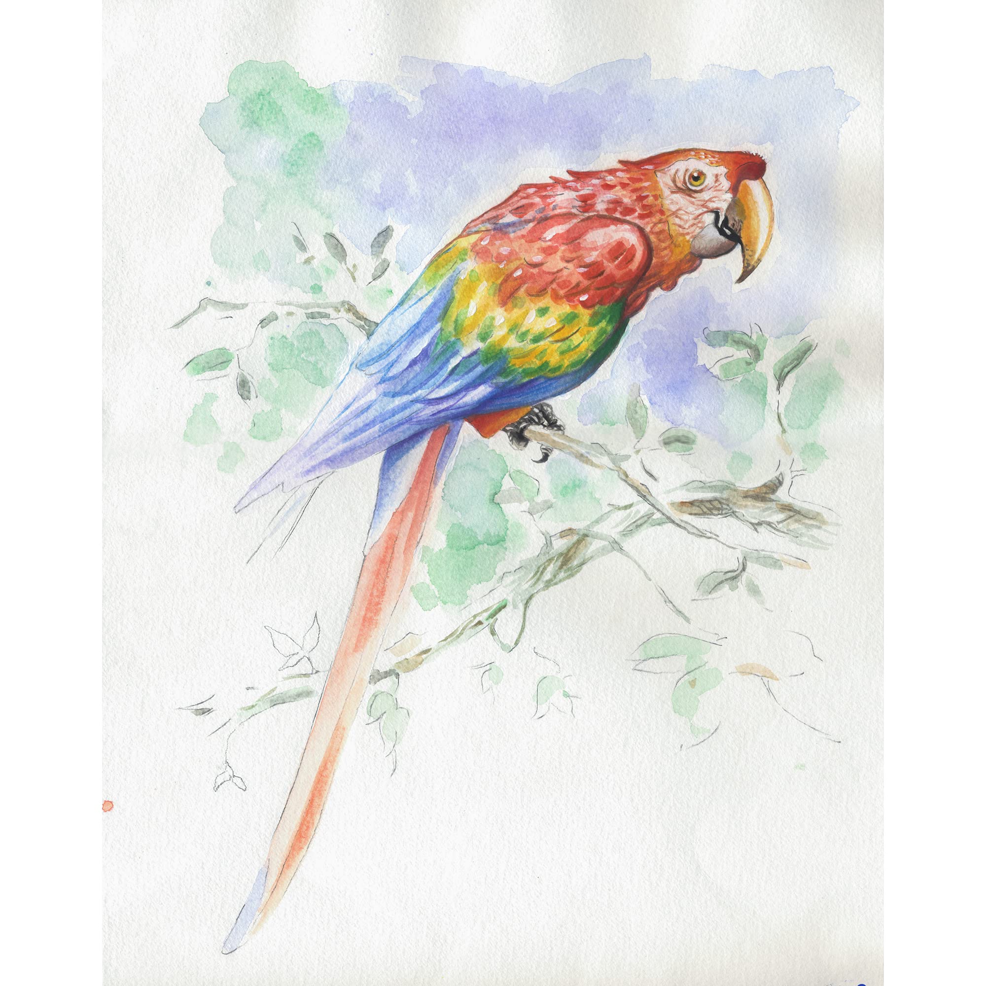 clairefontaine-975725c-aquarellblock-30x40-cm-300g-tiere-mit-vorgezeichneten-mot image 3