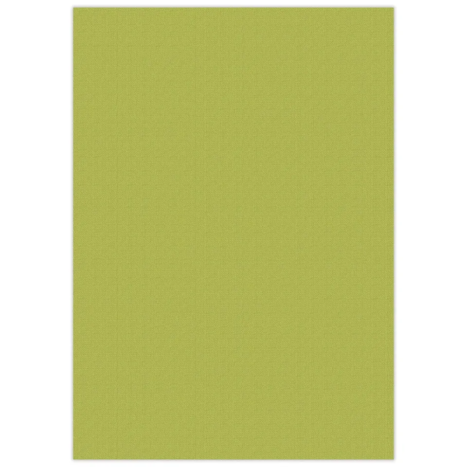 ursus-bastelkarton-struktura-basic-1-olivgr-n-gepr-gter-tonkarton-220-g-qm-din-a image 1